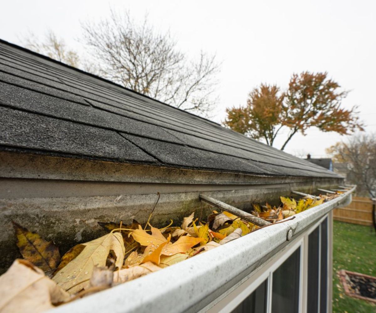 How KC Shark Tank Helps Exterior & Structural Businesses