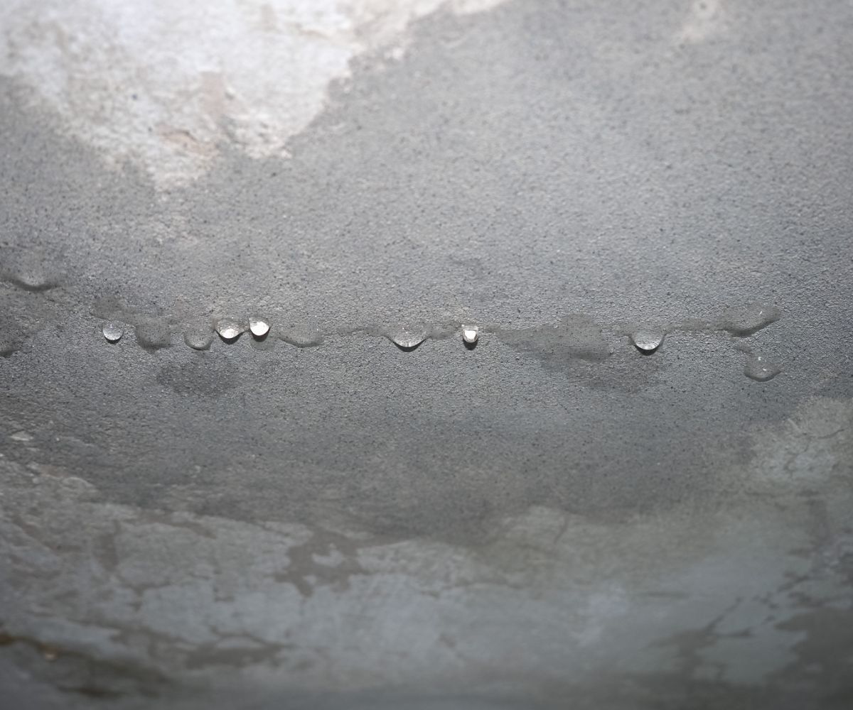 How KC Shark Tank Helps Restoration & Emergency Businesses