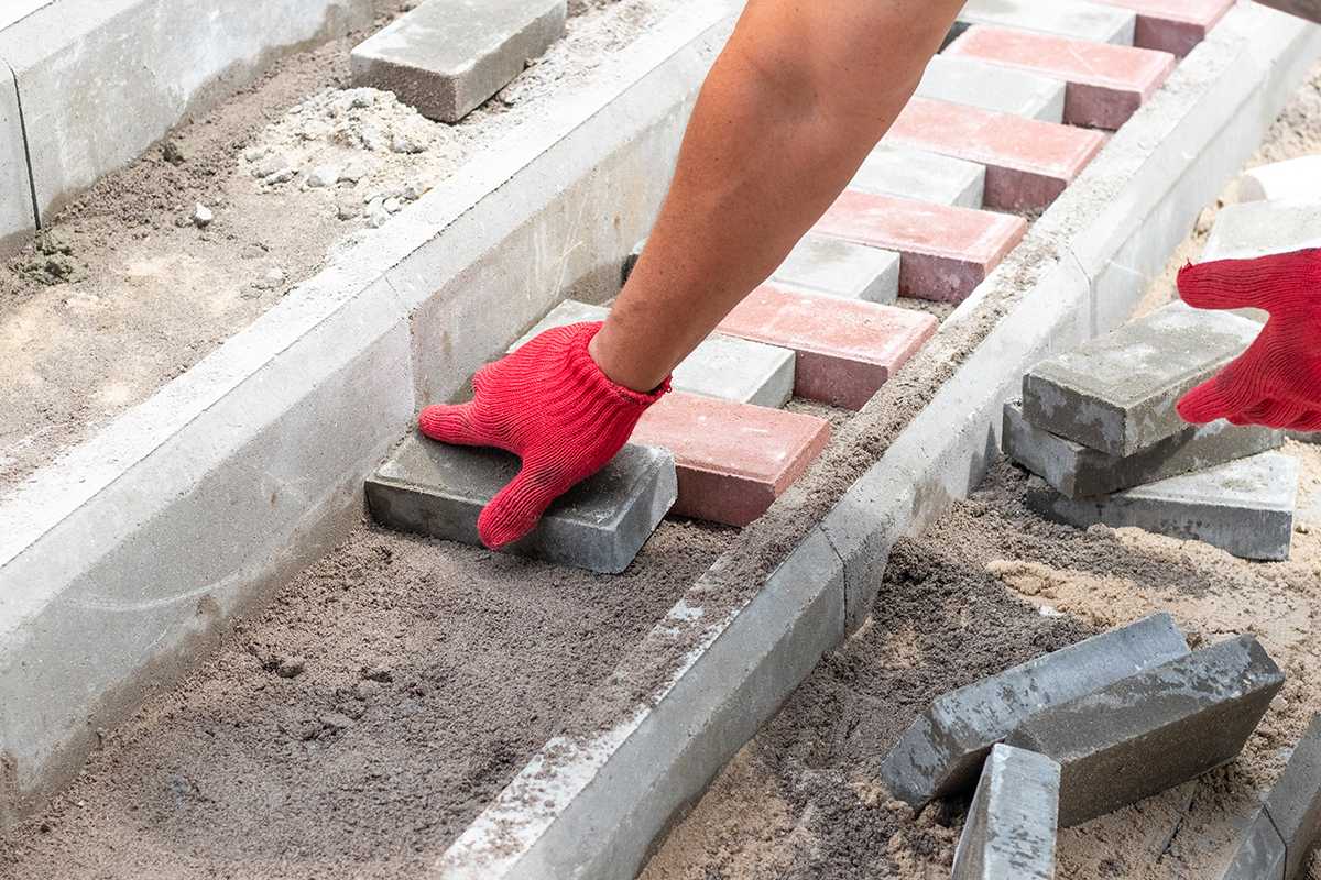 What We Look For - Image